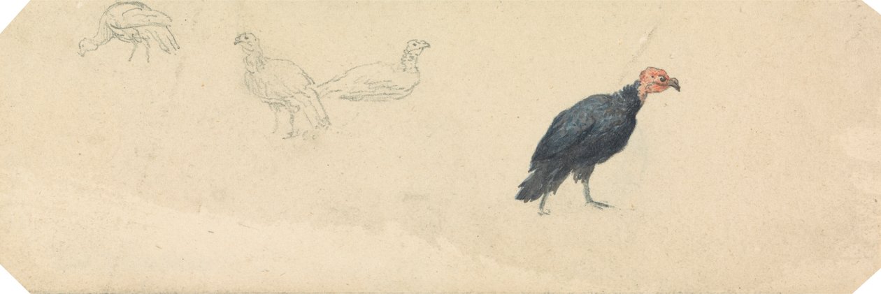 Studier af et Tyrkiet af Robert Hills
