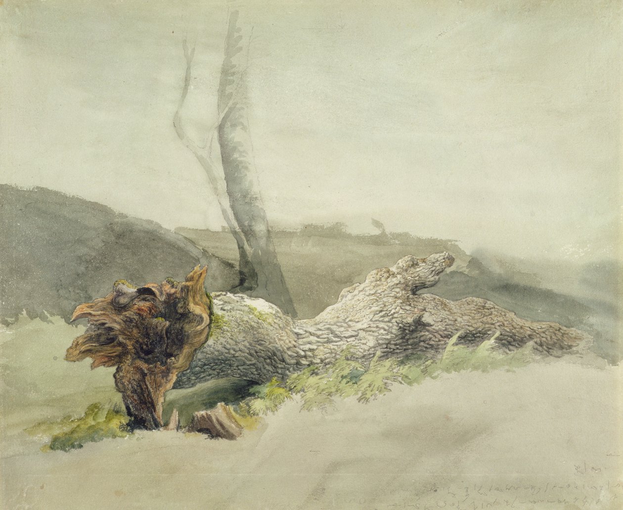 The Fallen Tree, ca. 1804 (wc over grafit på vævet papir) af Robert Hills