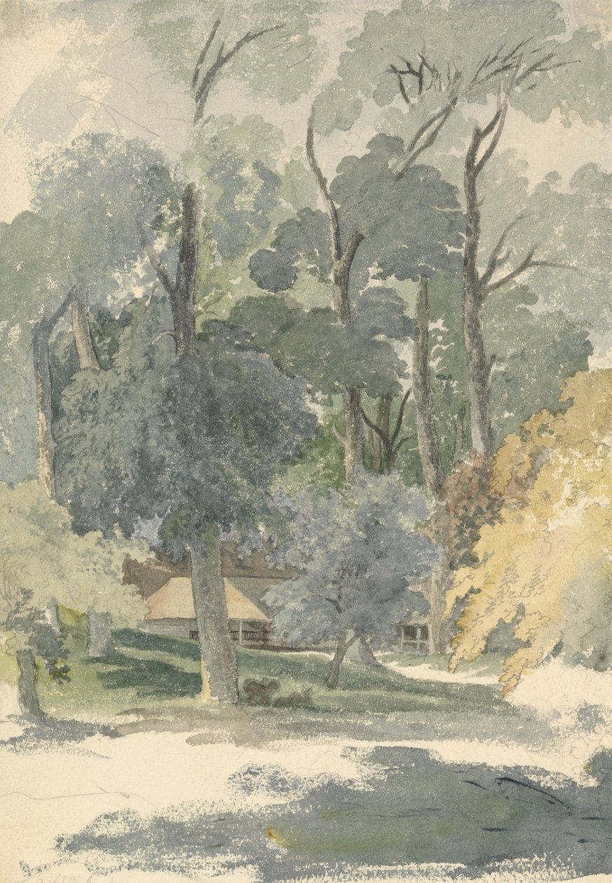 Træer og lader i Ashstead Park, Surrey af Robert Hills