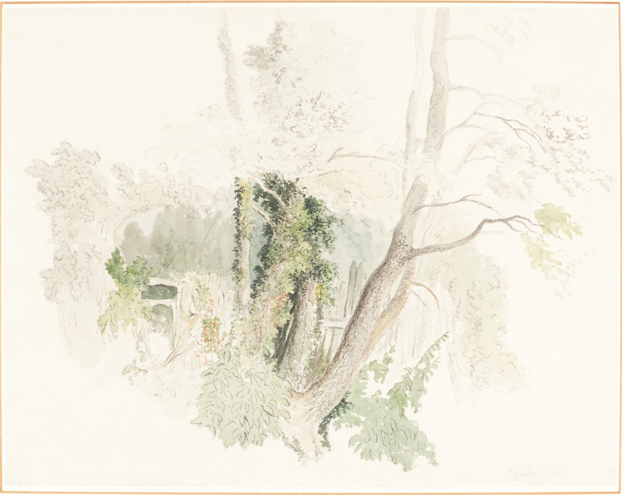 Træer ved Beddington af Robert Hills