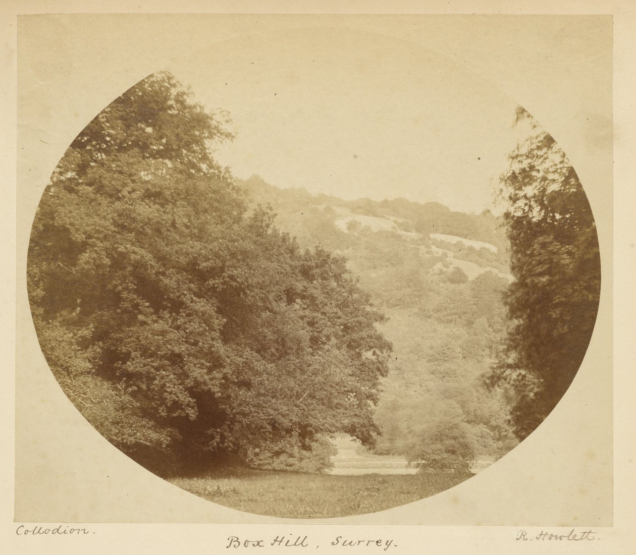 Box Hill, Surrey af Robert Howlett