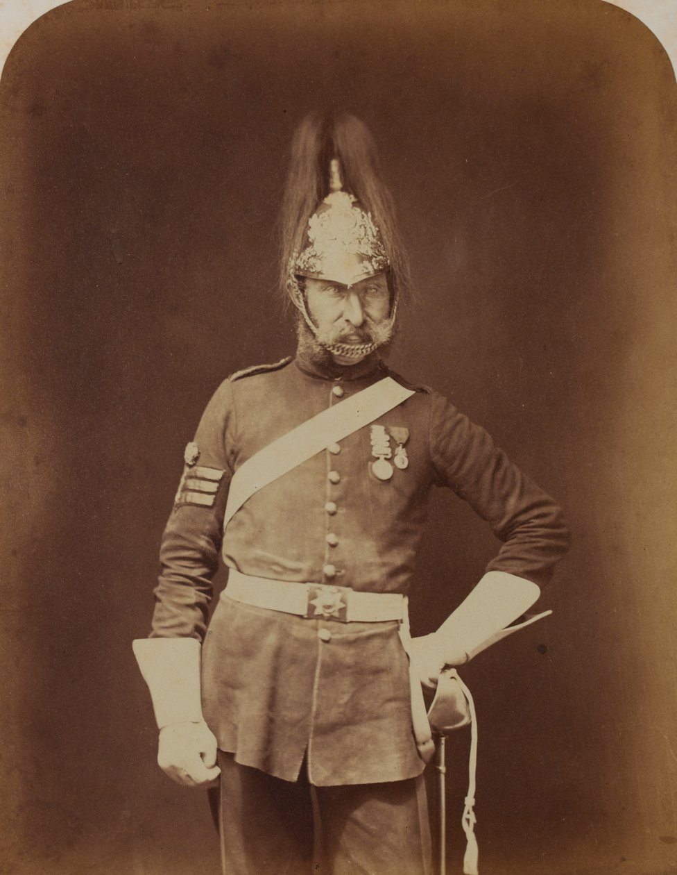 Sergent-major Stewart, 5. (prinsesse Charlotte af Wales) Dragon Guards af Robert Howlett