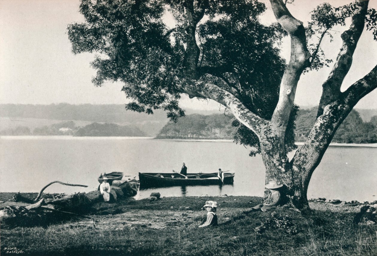 Church Island, Lough Gill, Sligo, c1908 af Robert John Welch