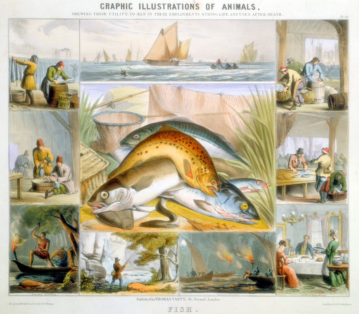 Fisk, c1850 af Robert Kent Thomas