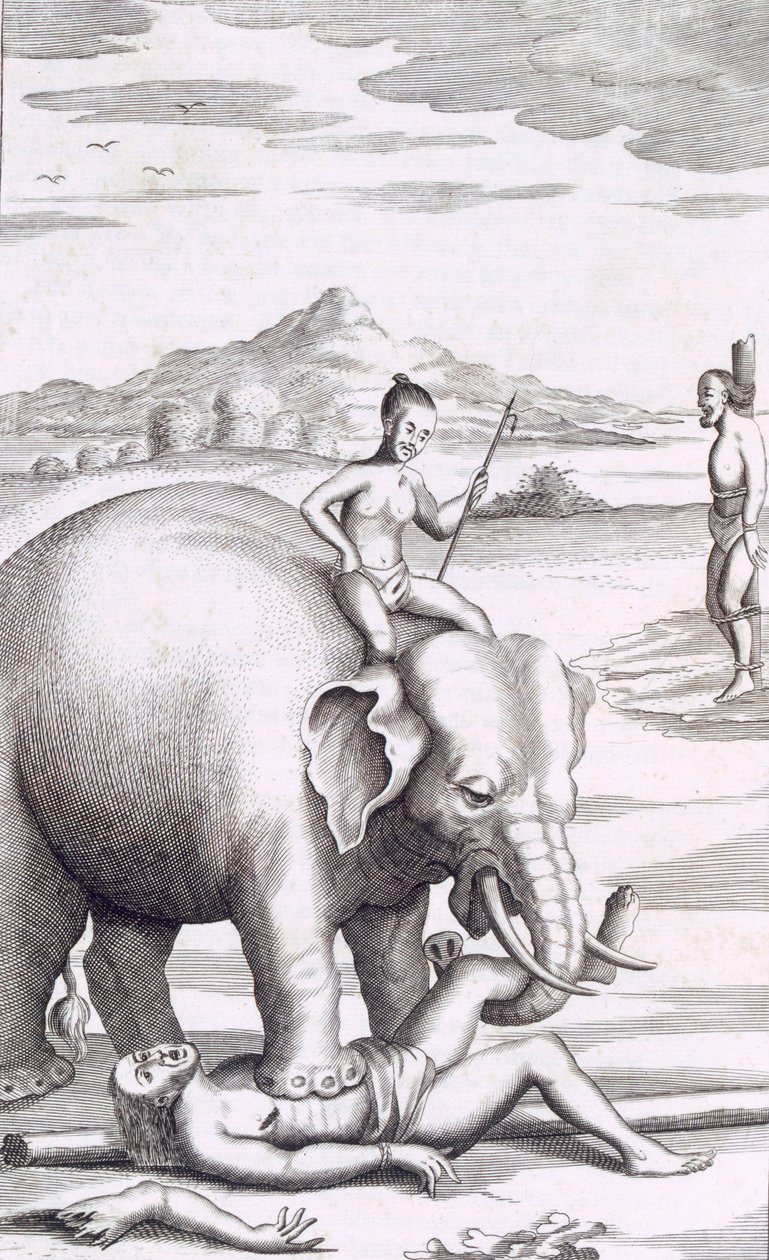 En henrettelse af en elefant, pub. 1681. af Robert Knox