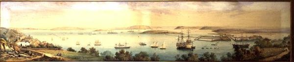 En panoramaudsigt over Cove of Cork af Robert L. Stopford