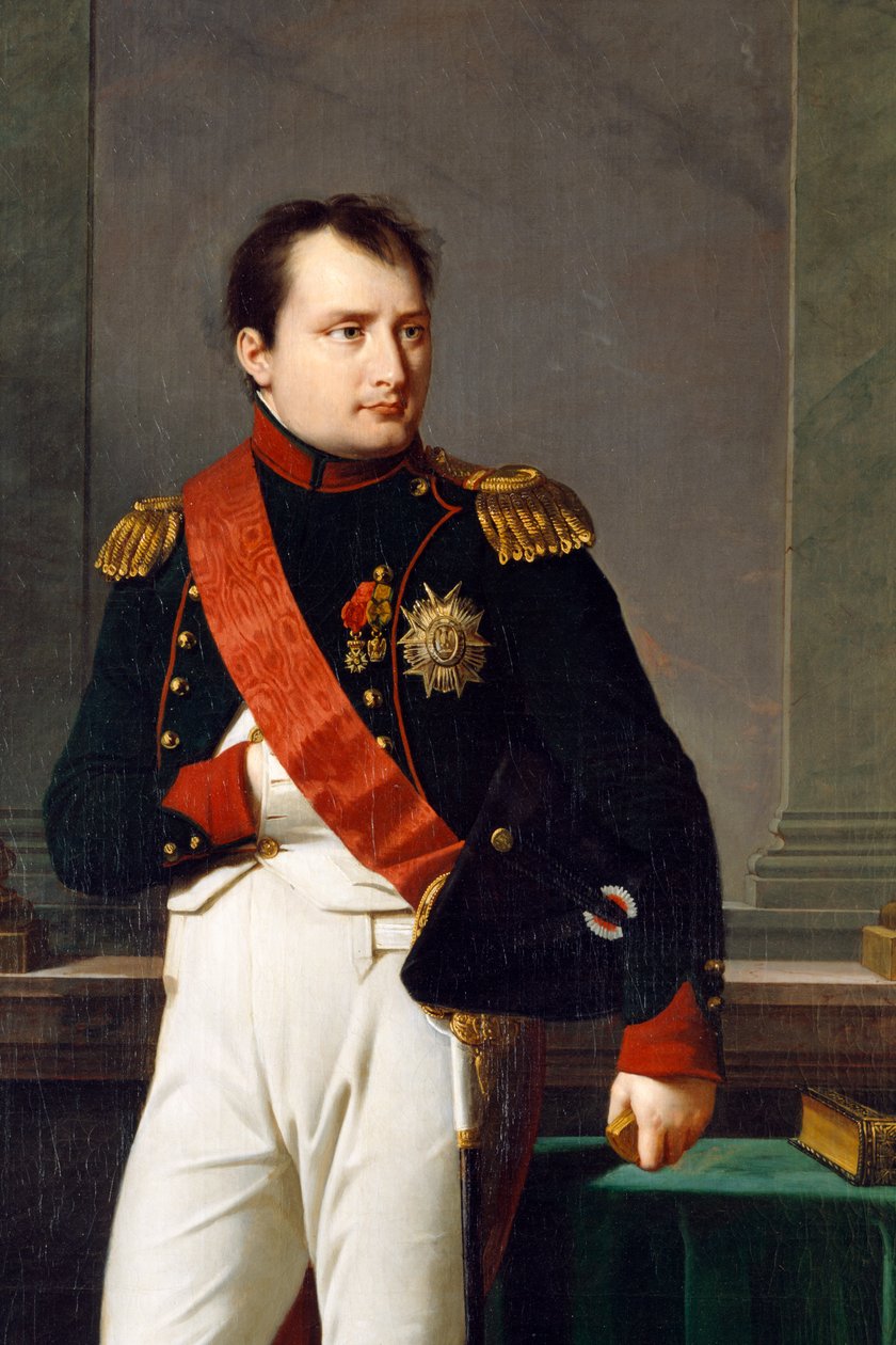 Detalje af et portræt af Napoleon Bonaparte, 1812 af Robert Lefevre