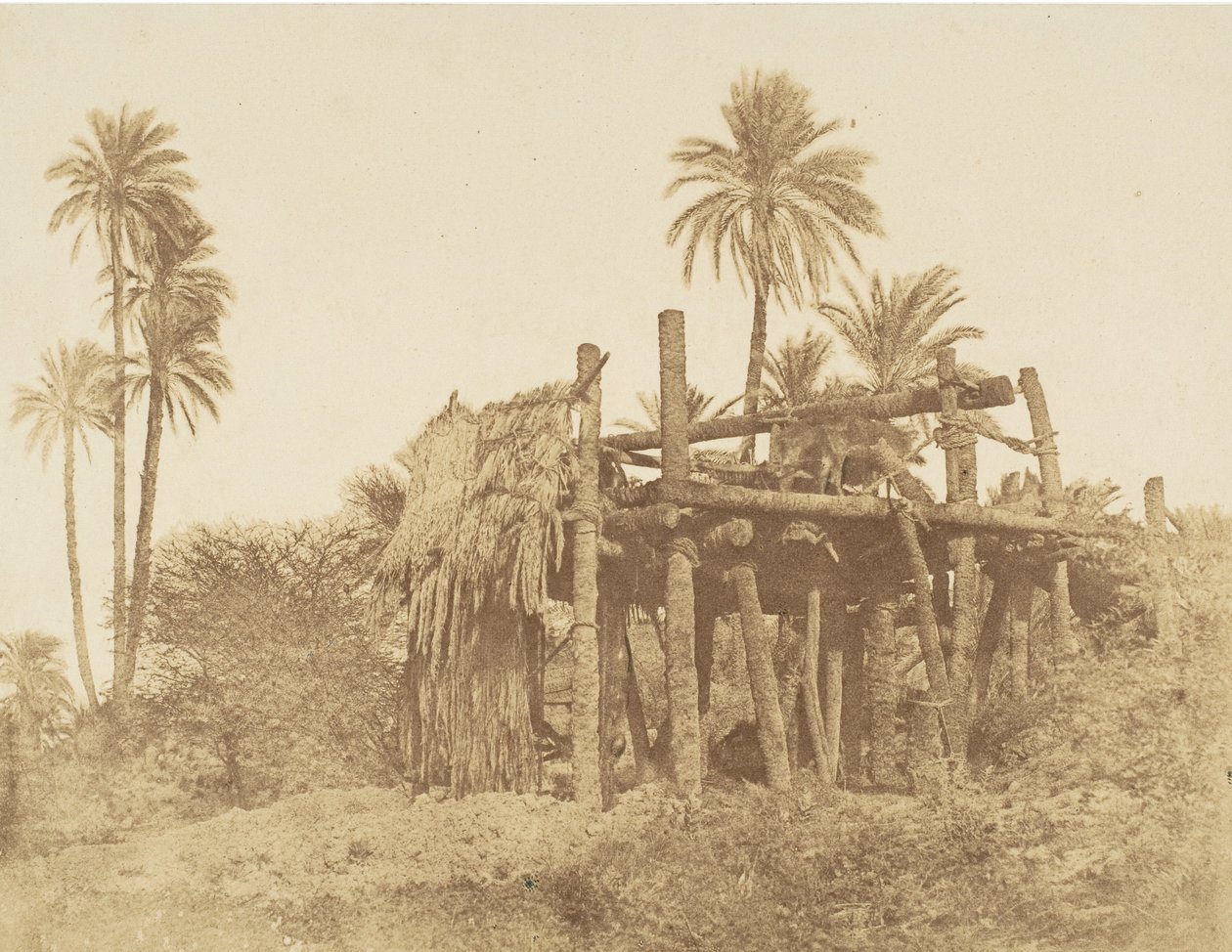 Nubian Sakkieh, eller vandhjul, ca. 1856. af Robert Murray.