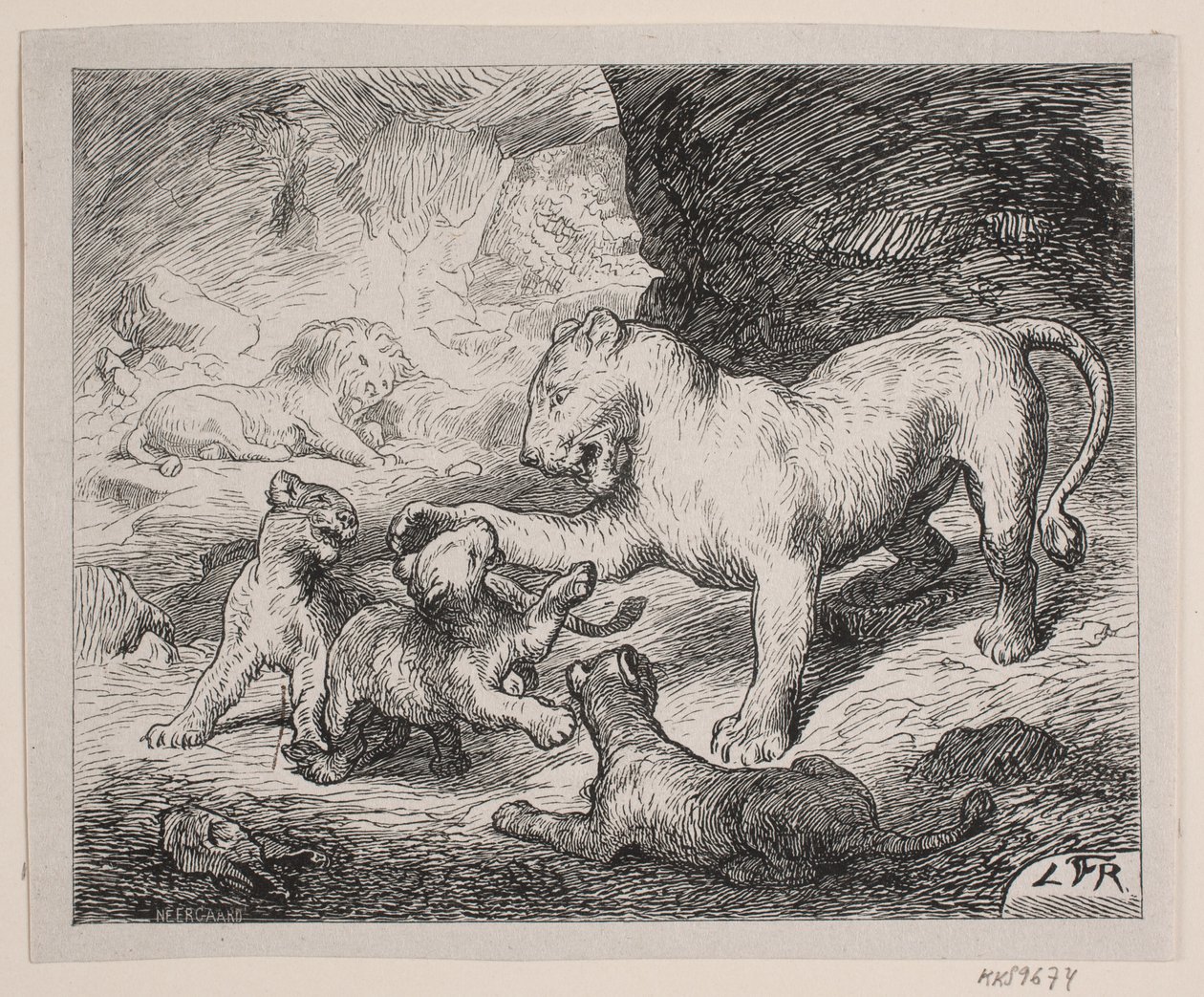 Løveungerne. Illustration til Chr. Winthers "Billedbog for Store og Smaa" af Robert Neergaard
