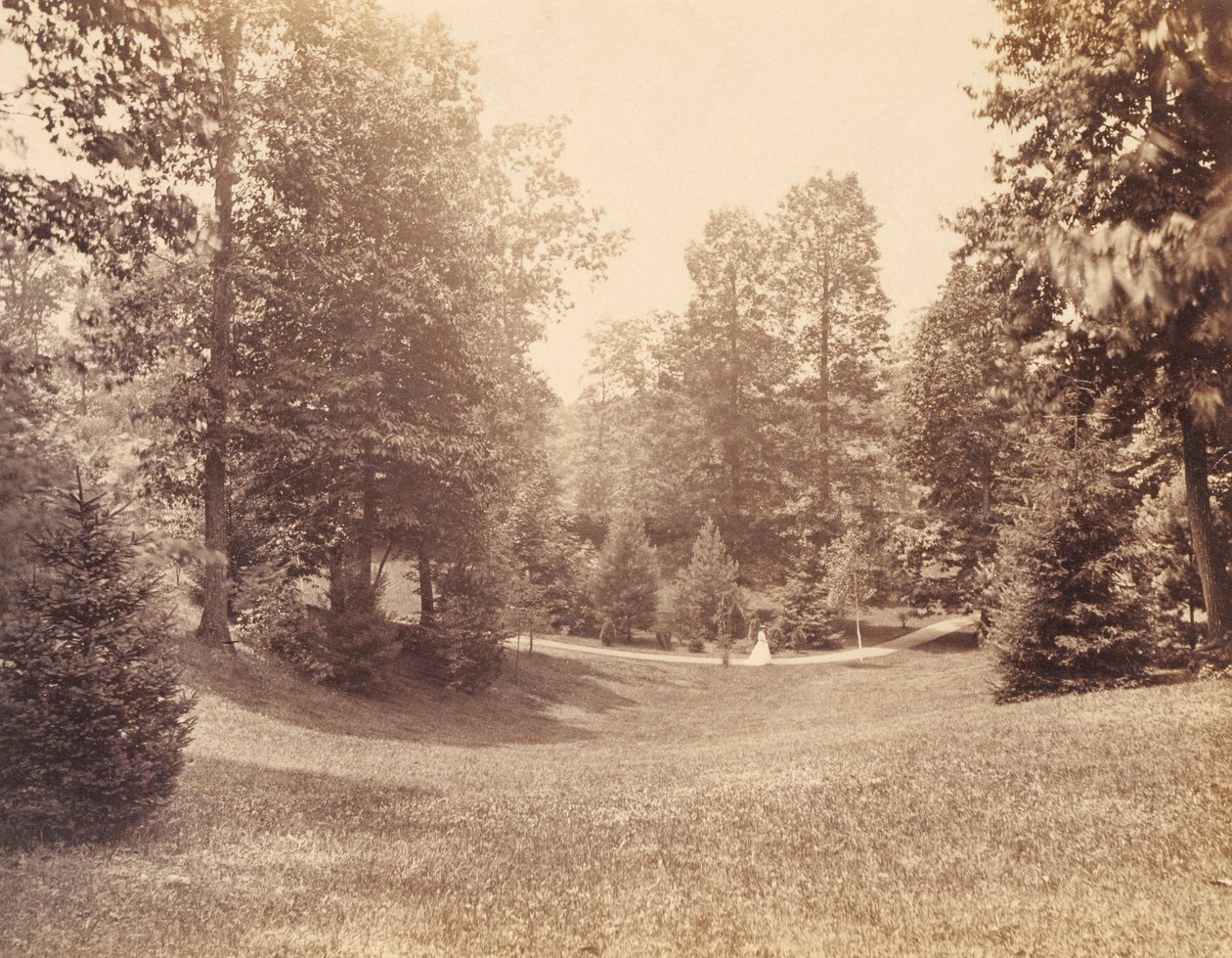 Clarence Howard Clark Estate, fra porteføljen "Views at Chestnutwold" af Robert Newell