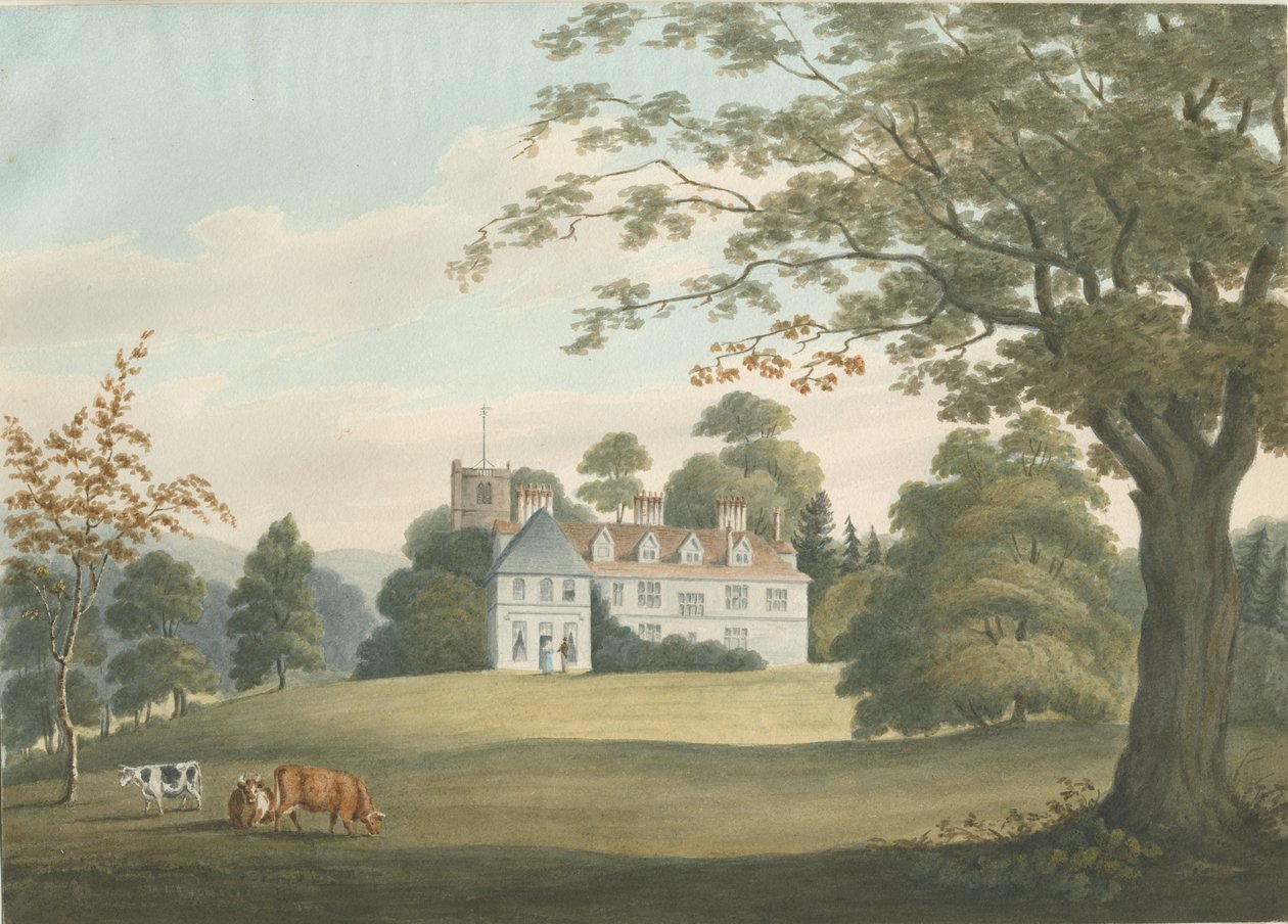 Arley Halldani af Robert Noyes