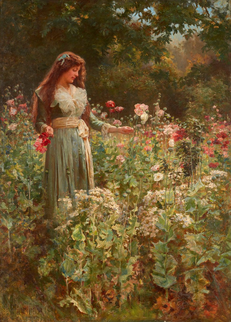 Indsamling af valmuer (olie på lærred) af Robert Payton Reid