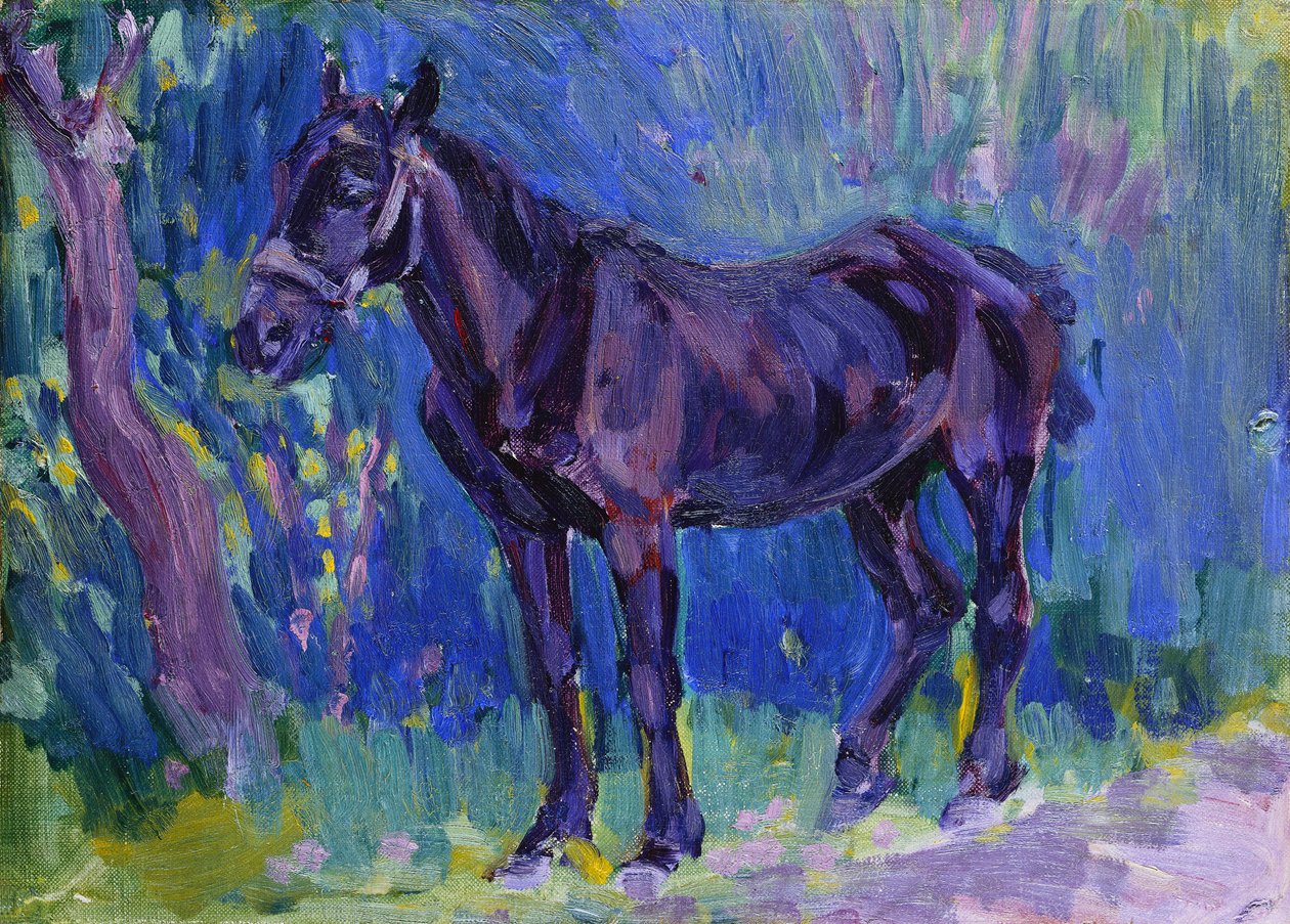 Studie for Sussex Farm Horse, ca. 1904-6 af Robert Polhill Bevan