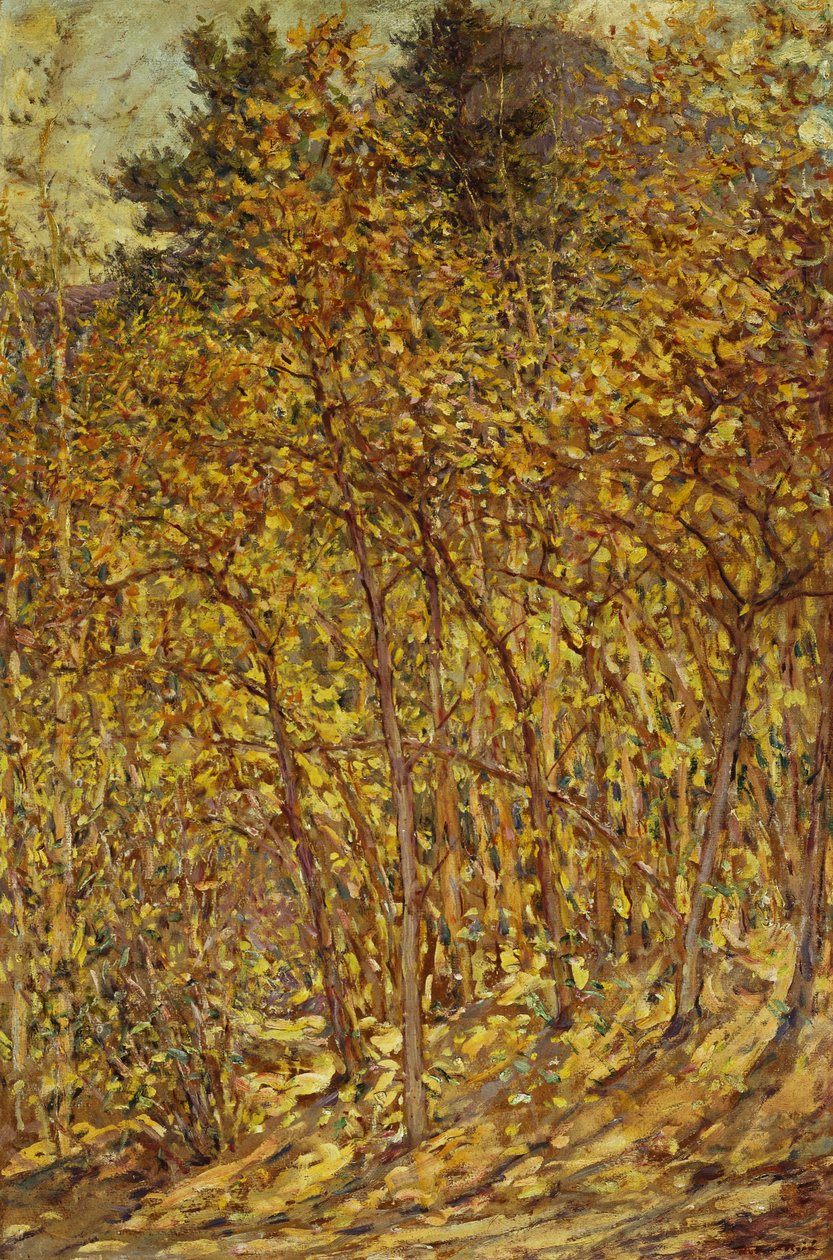 Efterårssollys af Robert Reid