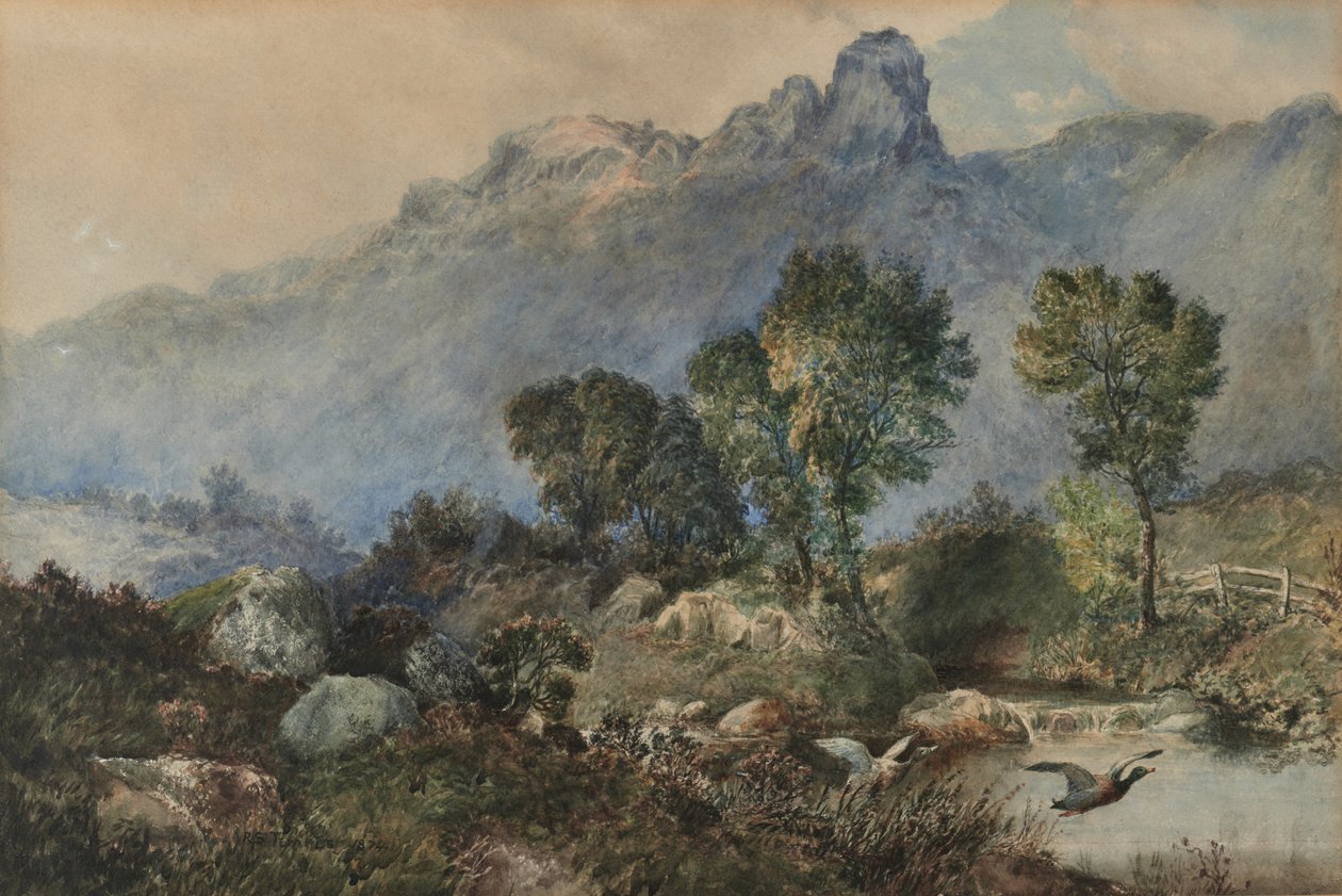 Landskab med gråænder af Robert Scott Temple