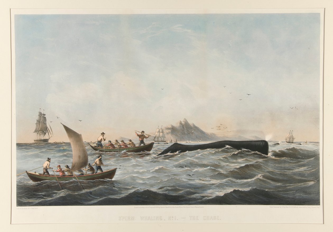 Spermhvalfangst, nr. 1 Sagen af Robert Swain Gifford