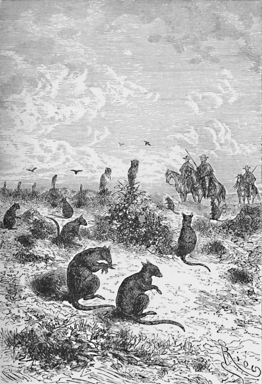 Bizcachas, c1885, 1890 af Robert Taylor Pritchett