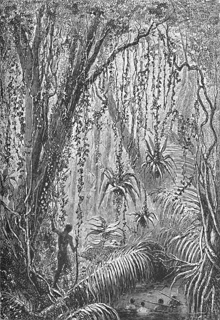 Brasiliansk skov, c1885 1890 af Robert Taylor Pritchett