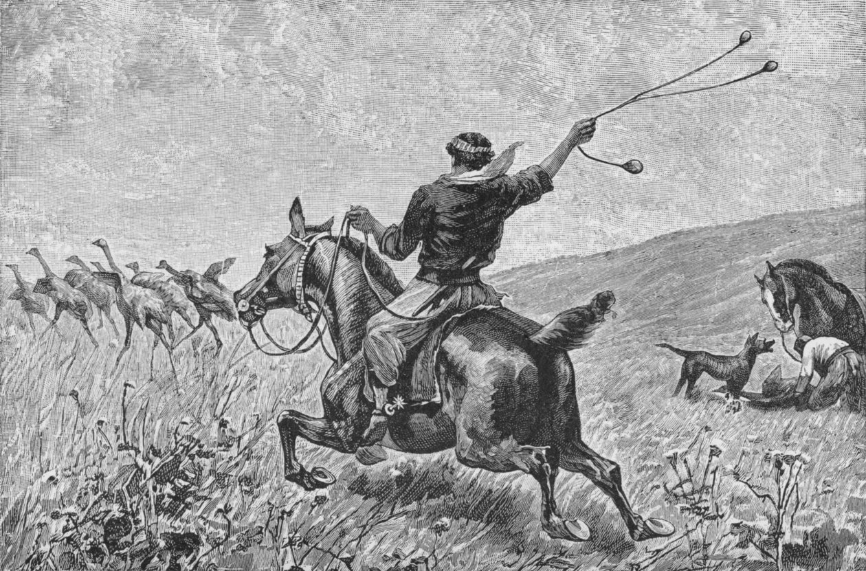 Throwing The Bolas, c1885, 1890 af Robert Taylor Pritchett