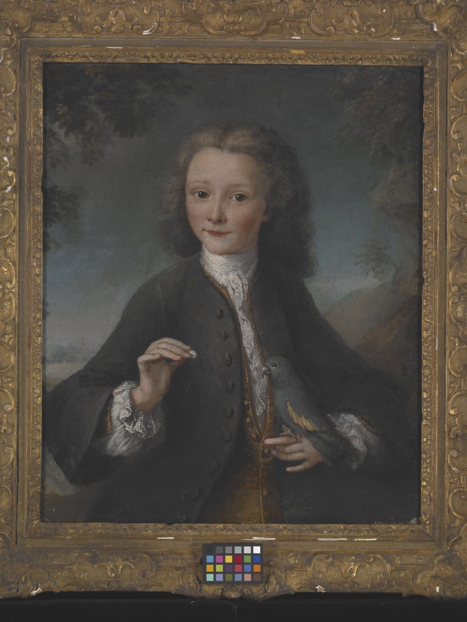 Voltaire At Age 13 (olie på lærred) af Robert Tournieres