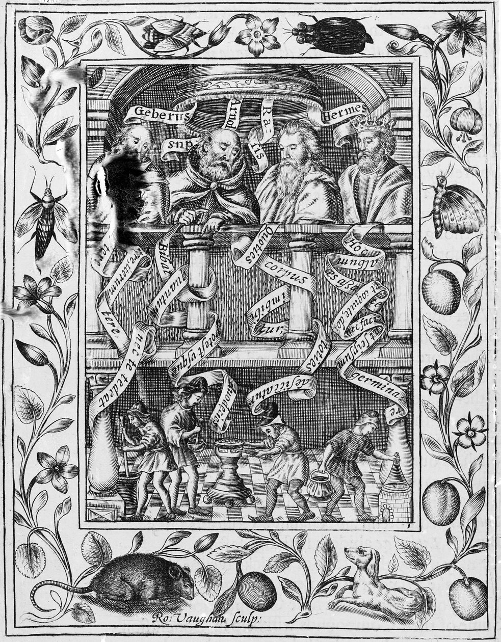 Store alkymister inspirerer til arbejde i laboratoriet fra Theatrum Chemicum Britannicum, 1652 af Robert Vaughan