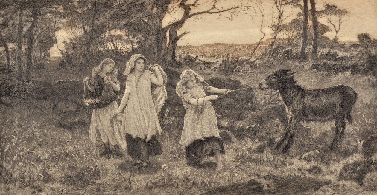 Tre piger og et æsel af Robert Walker Macbeth