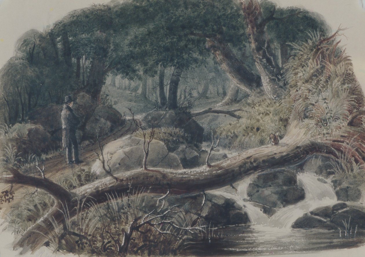 Indgangen til en skov, 1836. af Robert Walter Weir