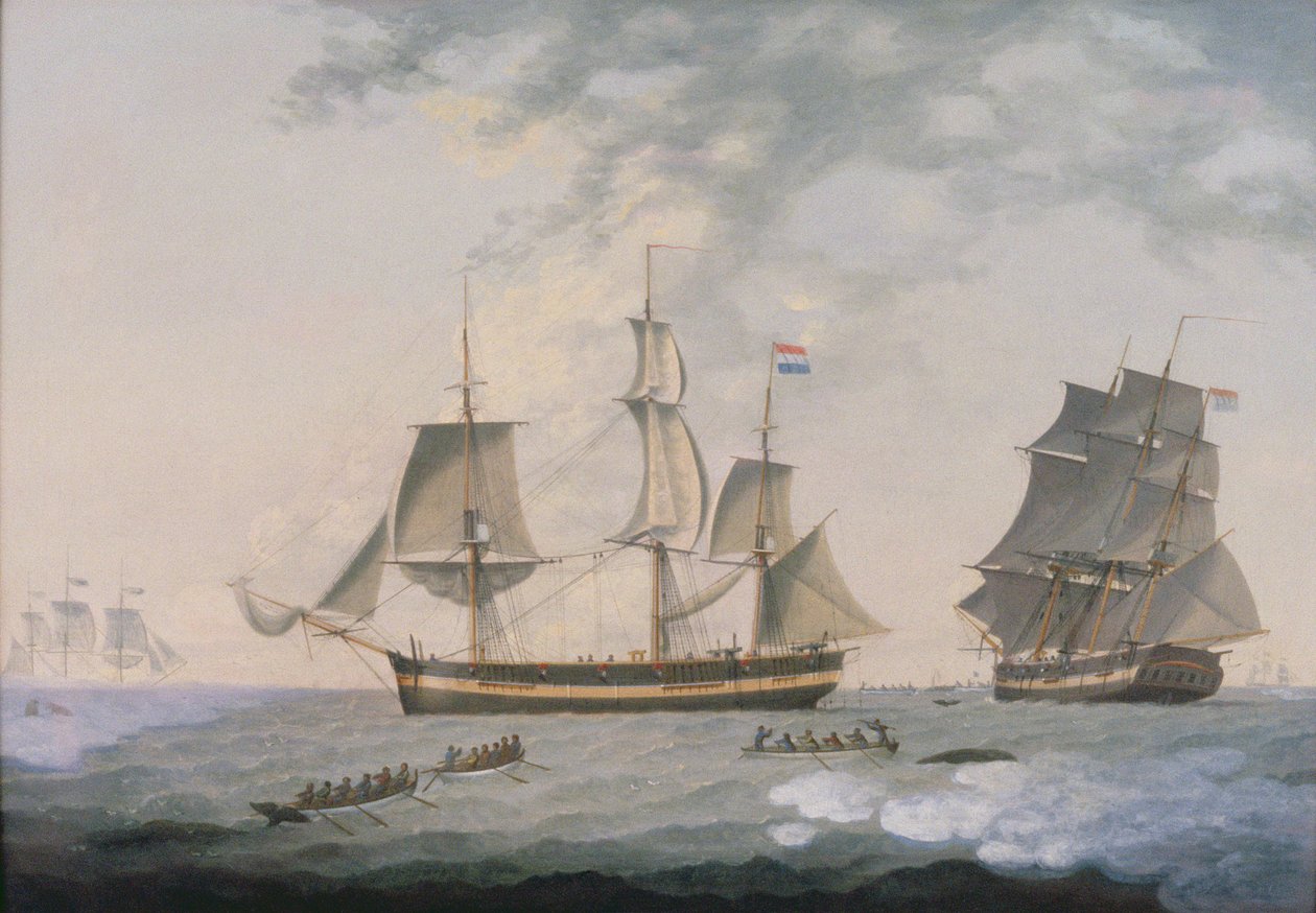 Hvalfangst i Arktis af Robert Willoughby