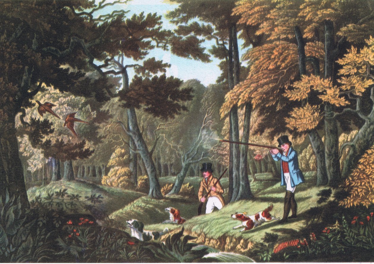 Fasanskydning nær Uxbridge, Nature i Storbritannien udgivet af Collins, 1946 af Robert the Elder Havell