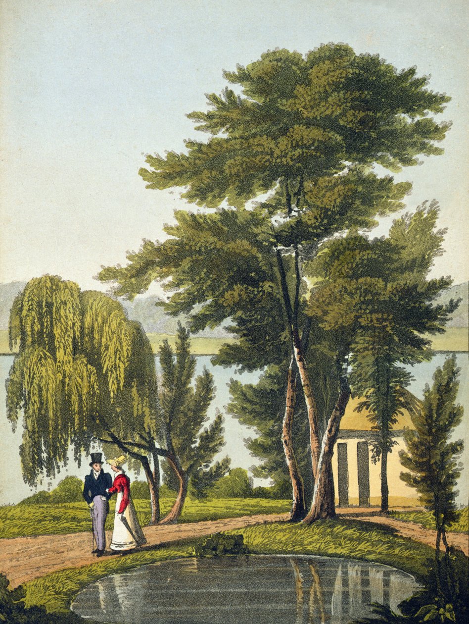 Clifton, fra 