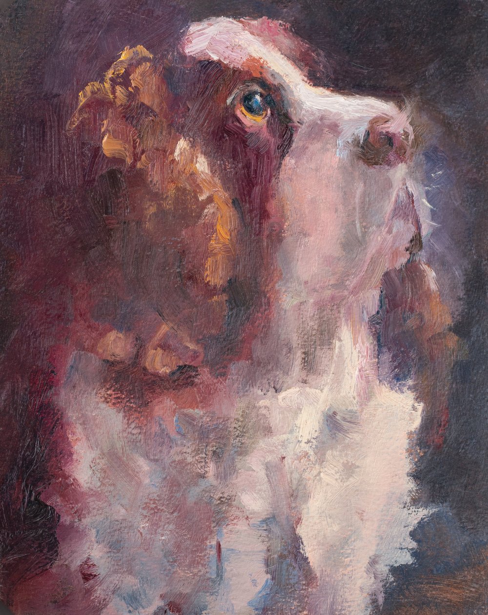 Romeo, 2015 (olie på panel) af Roberta Murray