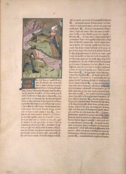 Ms Fr. Fv VI #1 fol. 5v Fiskeri, illustration fra The Book of Simple Medicines af Matthaeus Platerius (d.c.1161) ca.1470 af Robinet Testard