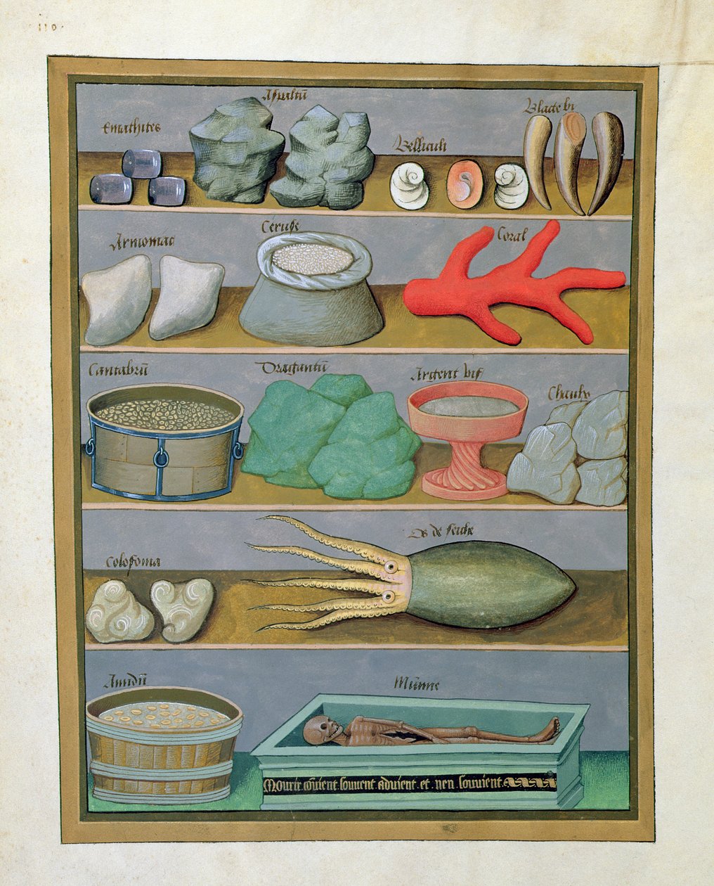 Illustration fra Book of Simple Medicines af Mattheaus Platearius 166v af Robinet Testard