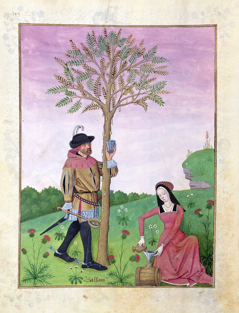 Lavendel, Hellebore og en slægtning til Agurkefamilien, Illustration fra Book of Simple Medicines af Matthaeus Platearius 131r af Robinet Testard