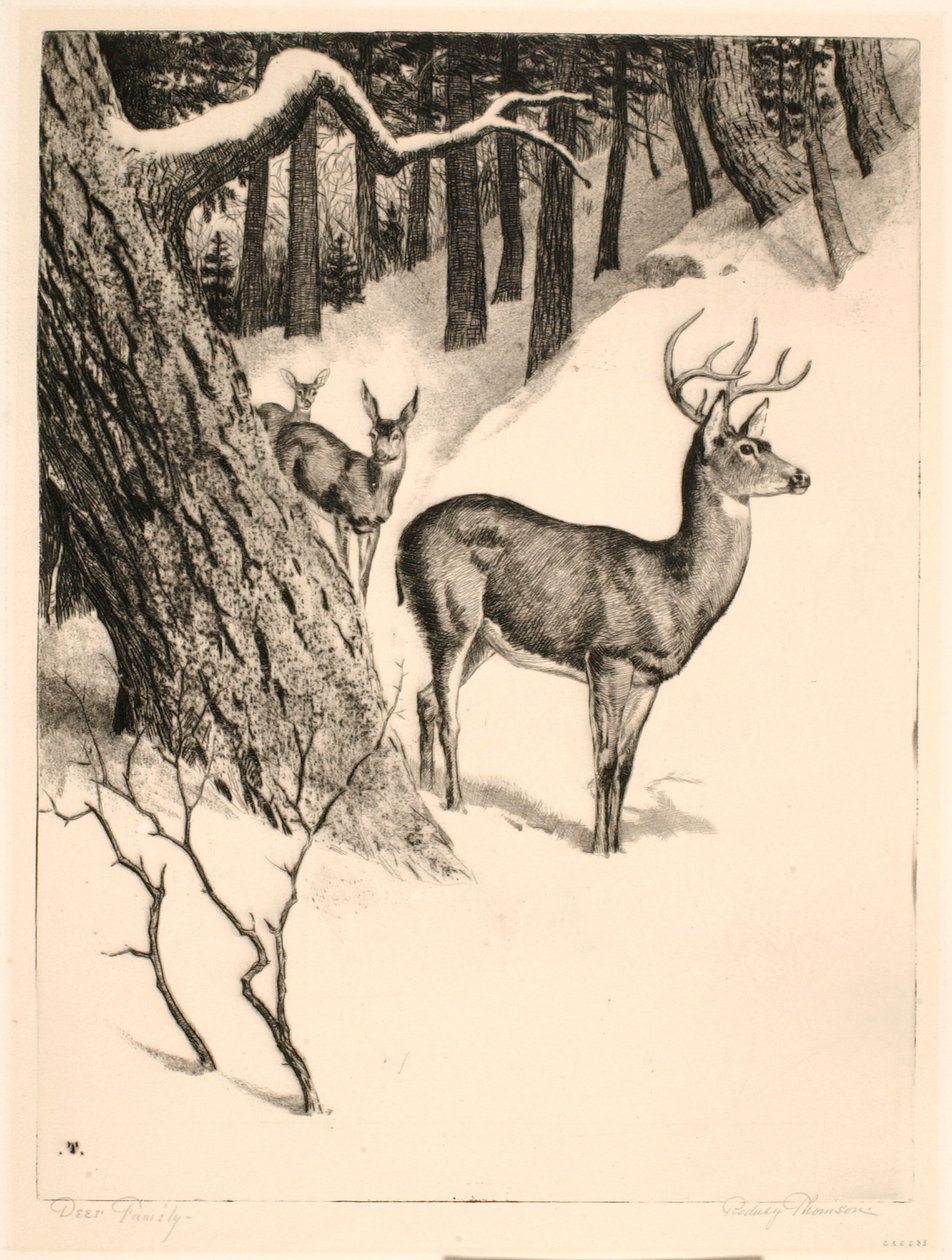 Hjortefamilien af Rodney Thomson