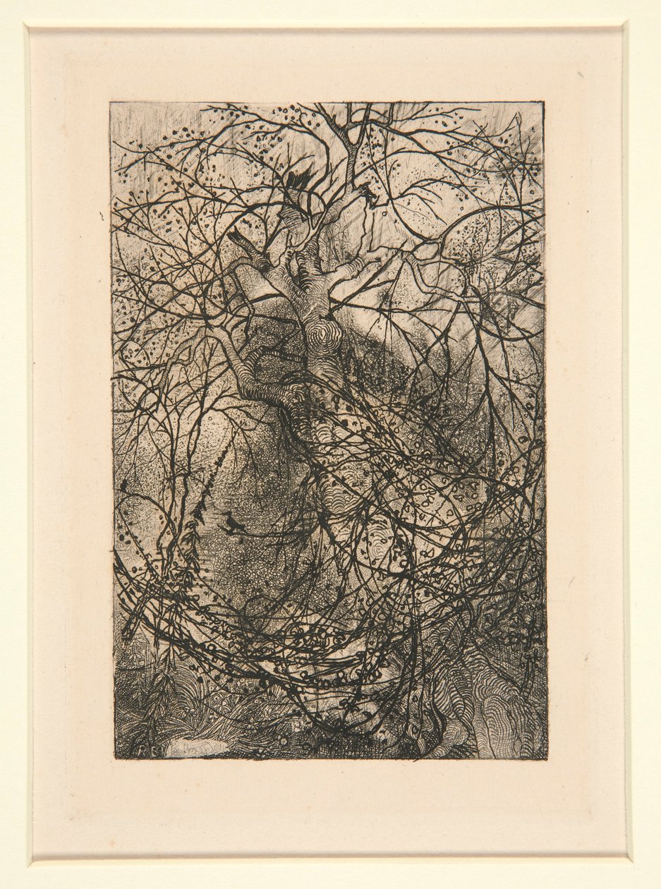 Grene af Rodolphe Bresdin