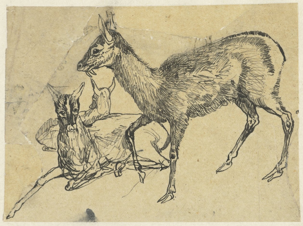 Tre hjorte af Rodolphe Bresdin