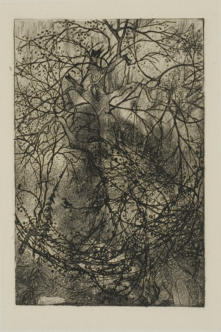 Trægrene af Rodolphe Bresdin