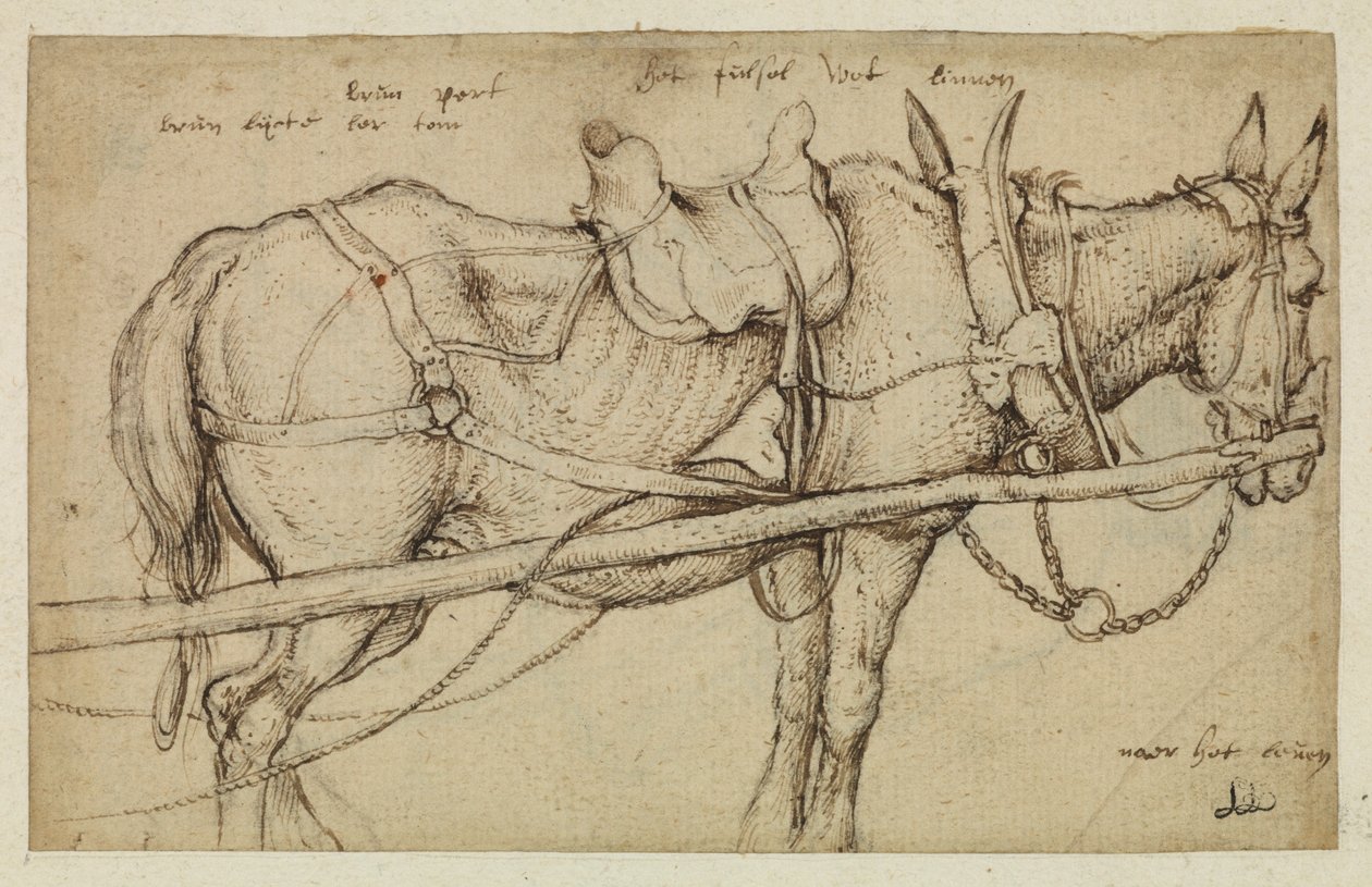 Mule in harnessdani af Roelandt Jacobsz. Savery