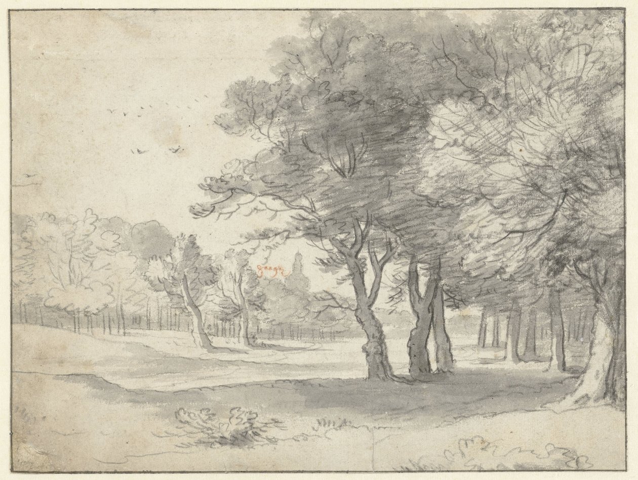 Udsigt i Haagse Bos, med Grote Kerk, Haag, i det fjerne af Roelant Roghman