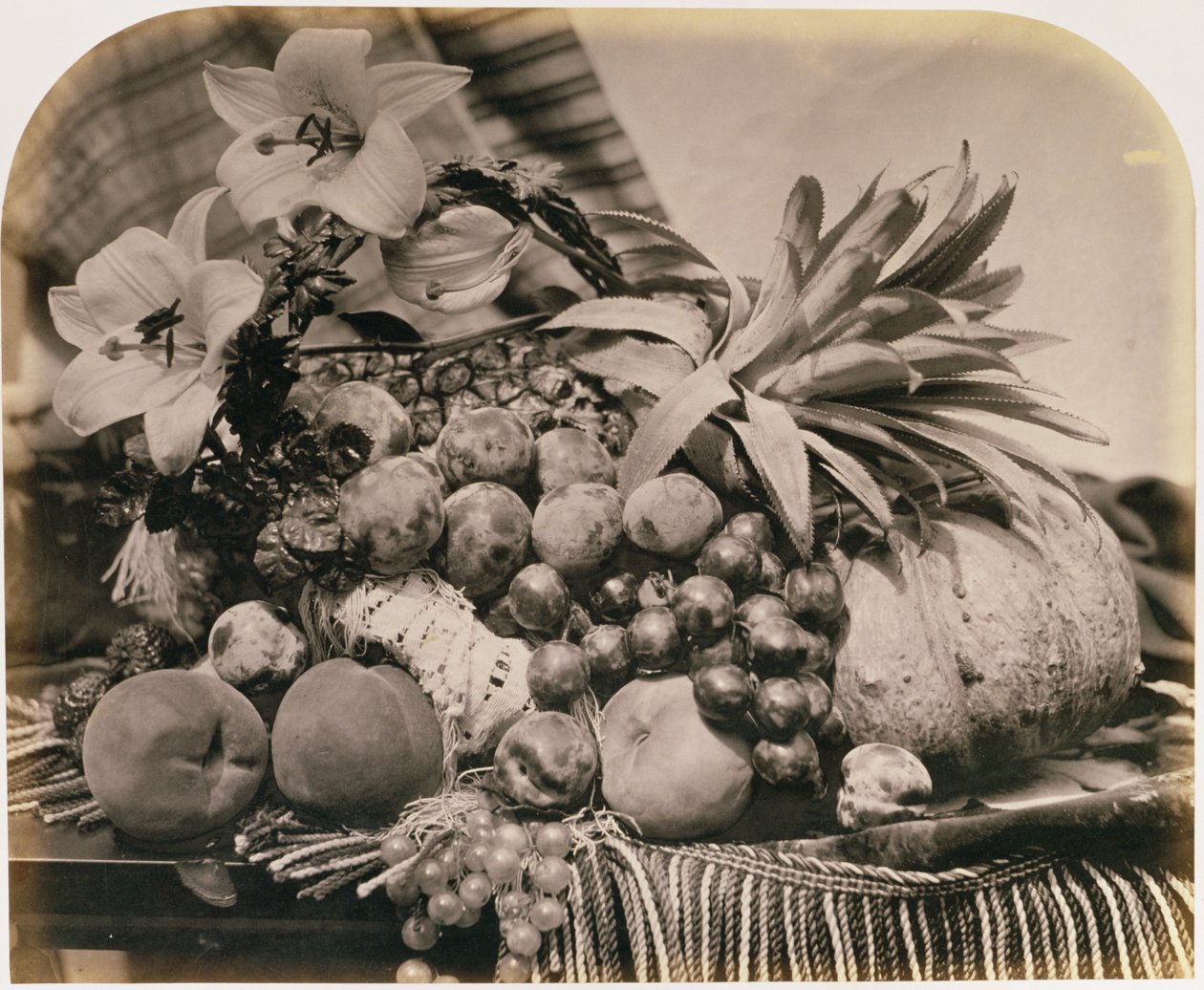 Stilleben med frugt, 1860 (sepiafoto) af Roger Fenton