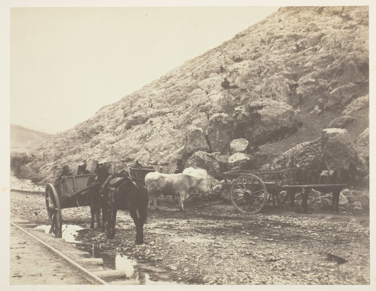Kvæg og vogne forlader Balaklava af Roger Fenton