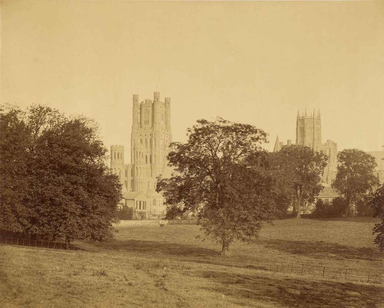 Ely-katedralen set fra parken af Roger Fenton