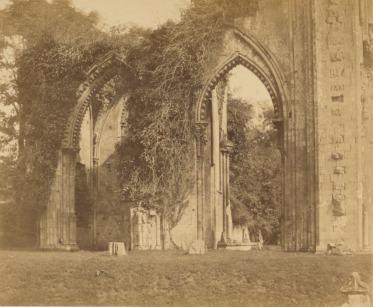 Glastonbury Abbey, buer i det nordlige sideskib af Roger Fenton