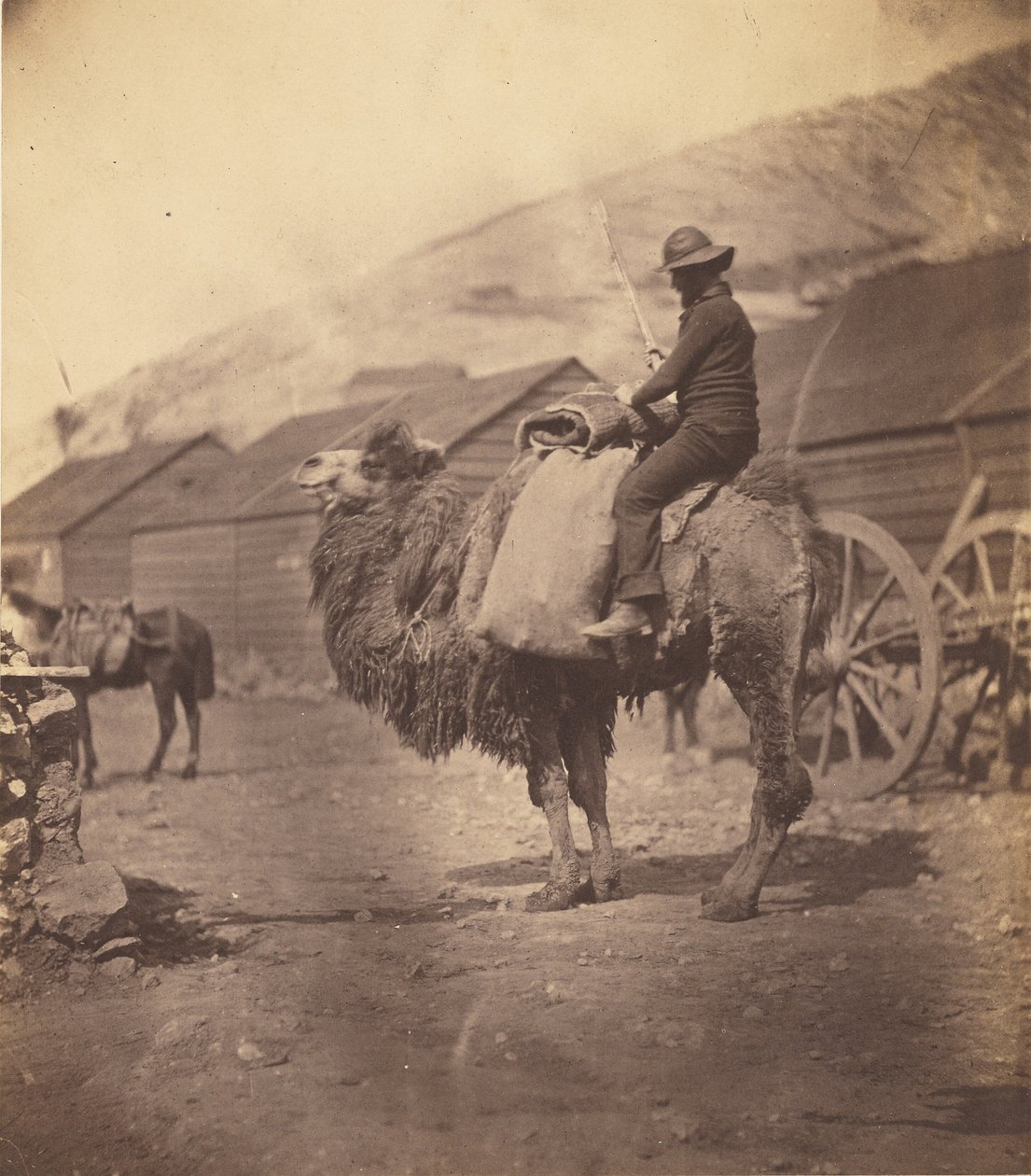 [Mand ridende på en kamel] af Roger Fenton