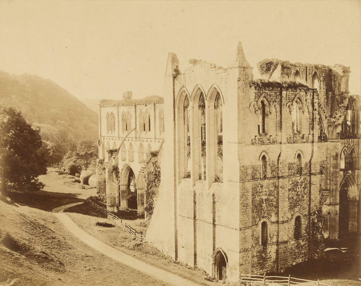 Rievaulx Kloster af Roger Fenton