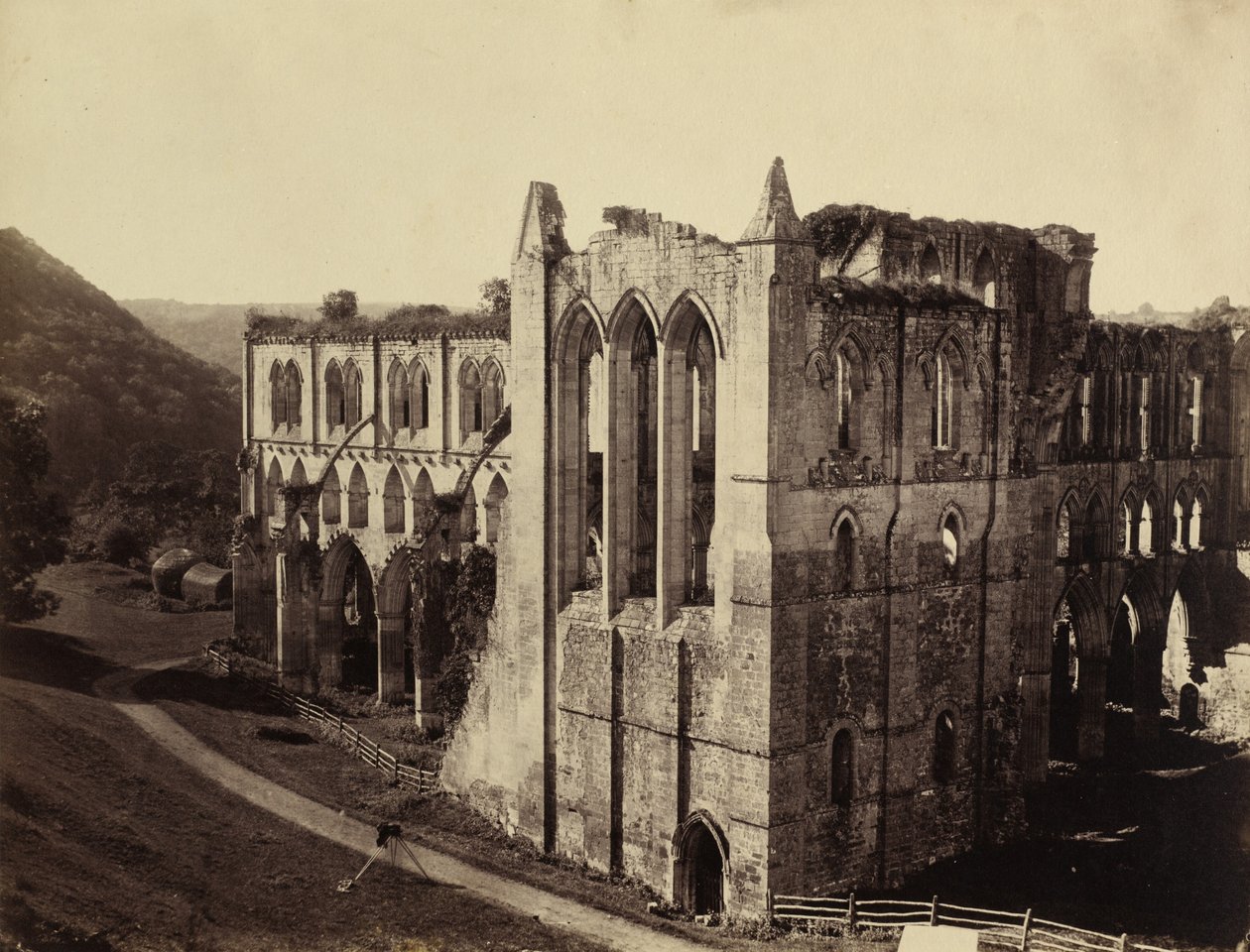 Rievaulx Abbey, North Transept, 1854. af Roger Fenton