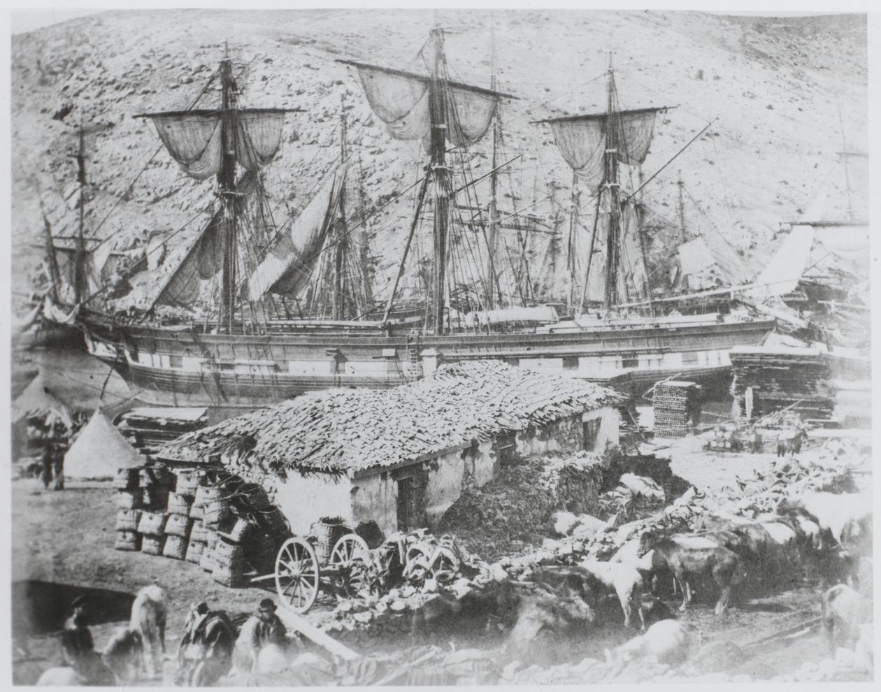 Kvægmolen i havnen i Balaklava af Roger Fenton