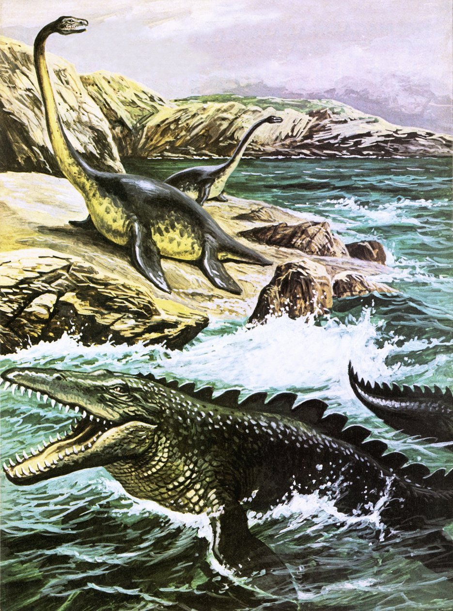Plesiosaurus (øverst) og Tylosaurus (nederst) af Roger Payne
