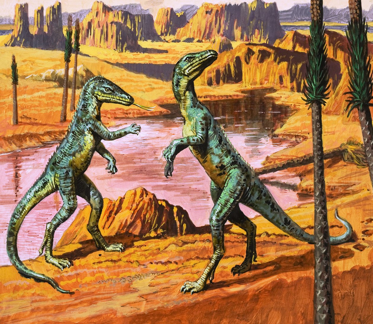 Saltoposuchus, illustration fra 